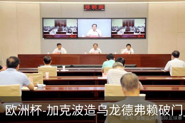 欧洲杯-加克波造乌龙德弗赖破门 荷兰2-1土耳其